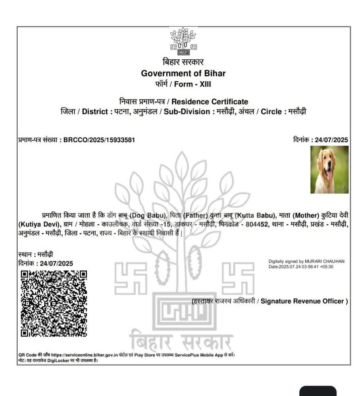 डॉग बाबू से निर्गत प्रमाण पत्र की फोटो डॉग बाबू से निर्गत प्रमाण पत्र की फोटो