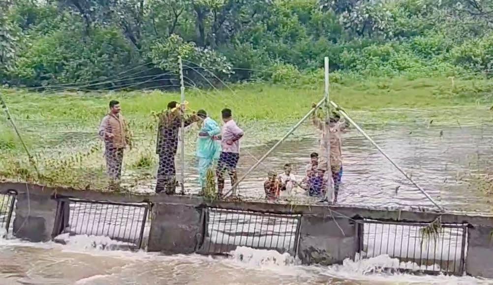 अधिक वर्षा के कारण चीता प्रोजेक्ट की तार फेंसिंग टूटी, वन विभाग ने लिया संज्ञान