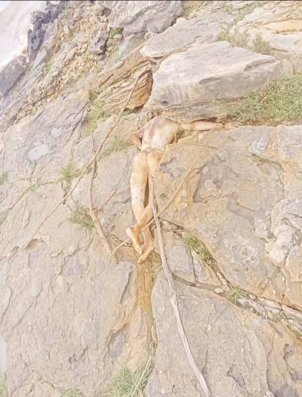 पार्वती नदी किनारे पडा शव। पार्वती नदी किनारे पडा शव।