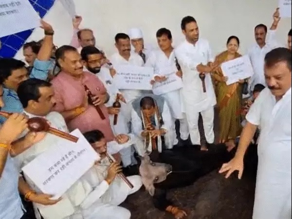 कांग्रेस विधायकों ने भैंस के आगे बीन बजाने का प्रतीकात्मक विरोध प्रदर्शन किया कांग्रेस विधायकों ने भैंस के आगे बीन बजाने का प्रतीकात्मक विरोध प्रदर्शन किया