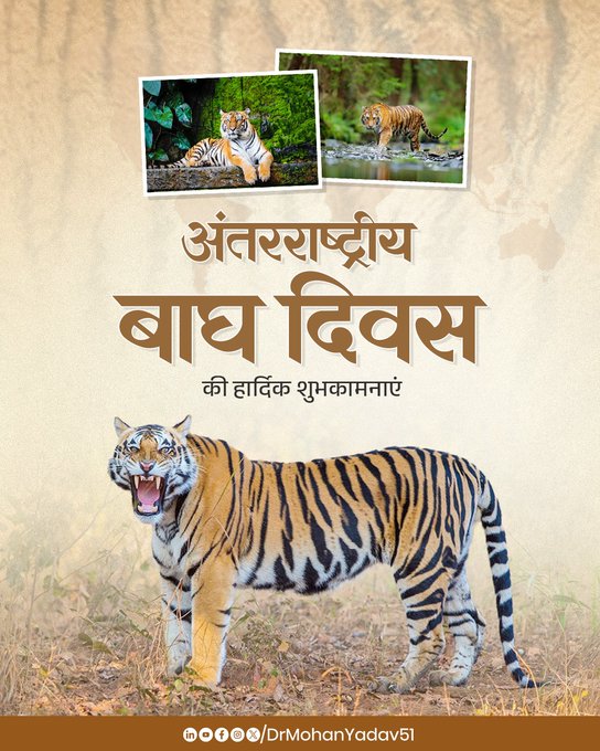 मुख्यमंत्री डाॅ. यादव ने अंतरराष्ट्रीय बाघ दिवस पर दी बधाई मुख्यमंत्री डाॅ. यादव ने अंतरराष्ट्रीय बाघ दिवस पर दी बधाई