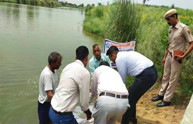 ‘मछली बच्चा रैंचिंग’ कार्यक्रम के दौरान मौजूद एसडीएम नारनौल अनिरुद्ध यादव। ‘मछली बच्चा रैंचिंग’ कार्यक्रम के दौरान मौजूद एसडीएम नारनौल अनिरुद्ध यादव।