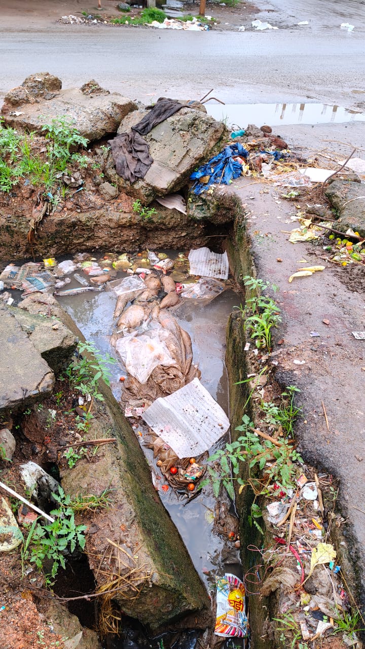 गंदगी से बजबजाती नालियां गंदगी से बजबजाती नालियां