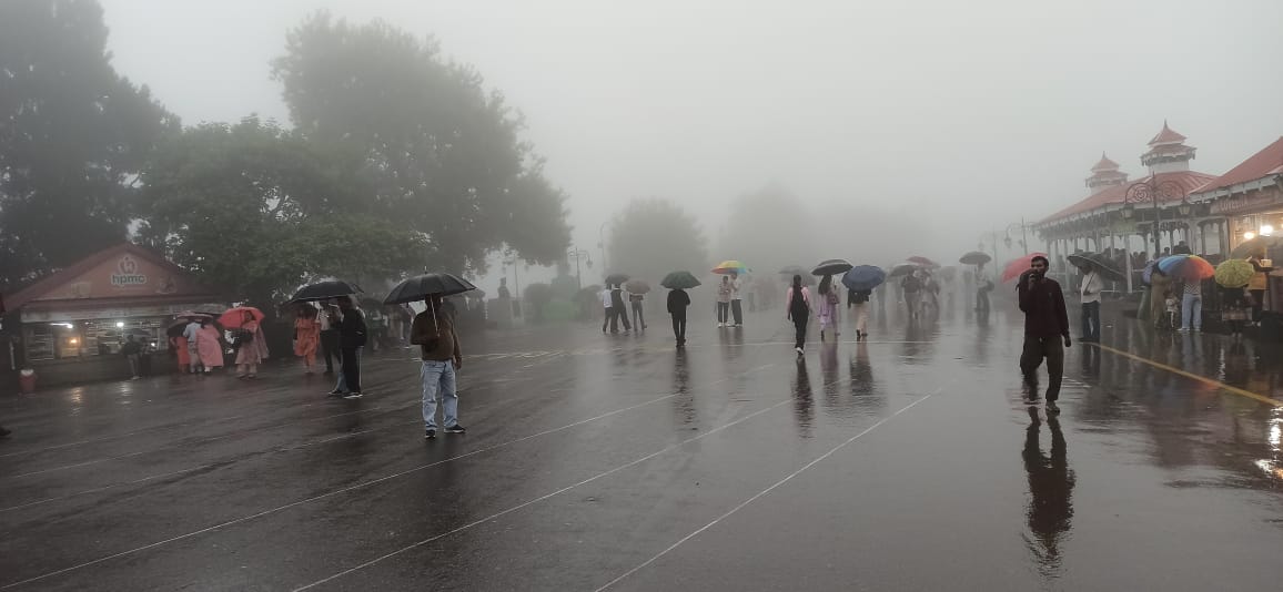 शिमला में वर्षा शिमला में वर्षा