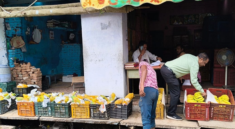 खाद्य सुरक्षा की टीम ने फल मंडी छत्री बाजार व मुरार का किया निरीक्षण खाद्य सुरक्षा की टीम ने फल मंडी छत्री बाजार व मुरार का किया निरीक्षण