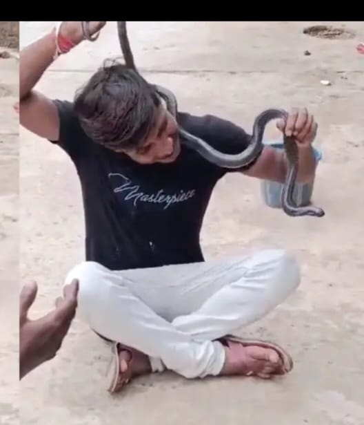 फोटो फोटो