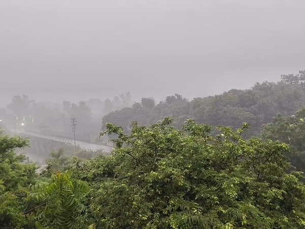 शाजापुर : जुलाई के महीने में नौ इंच बरसे बदरा, तेज बारिश का अभी भी इंतजार शाजापुर : जुलाई के महीने में नौ इंच बरसे बदरा, तेज बारिश का अभी भी इंतजार