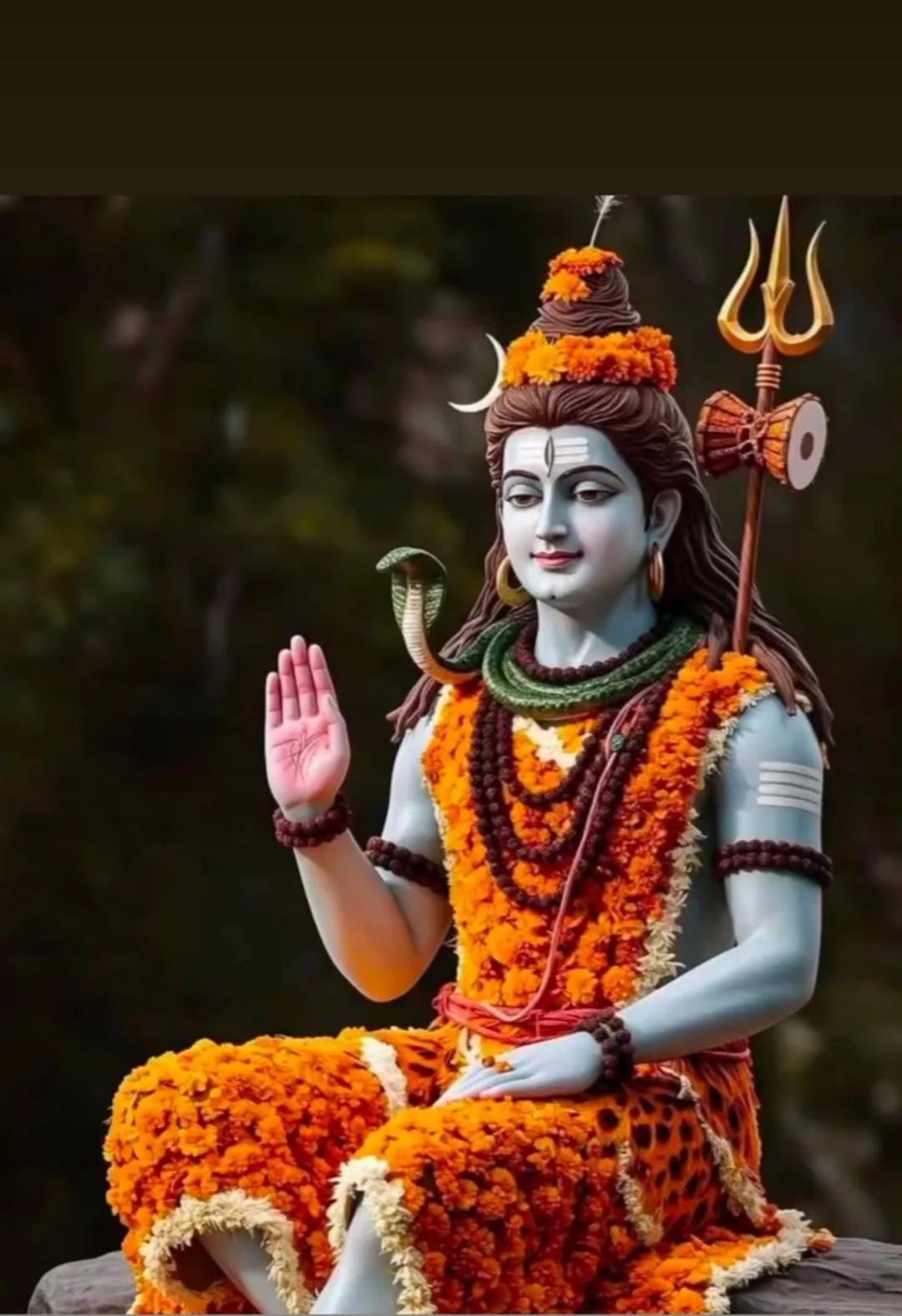 शिव सत्संग मण्डल की भव्य कांवर यात्रा प्रमुख मार्गों से निकाली गई शिव सत्संग मण्डल की भव्य कांवर यात्रा प्रमुख मार्गों से निकाली गई