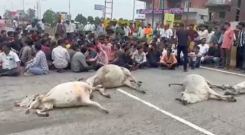 की मौत, गोसेवकों ने किया चक्काजाम की मौत, गोसेवकों ने किया चक्काजाम