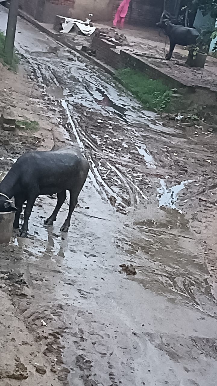फोटो