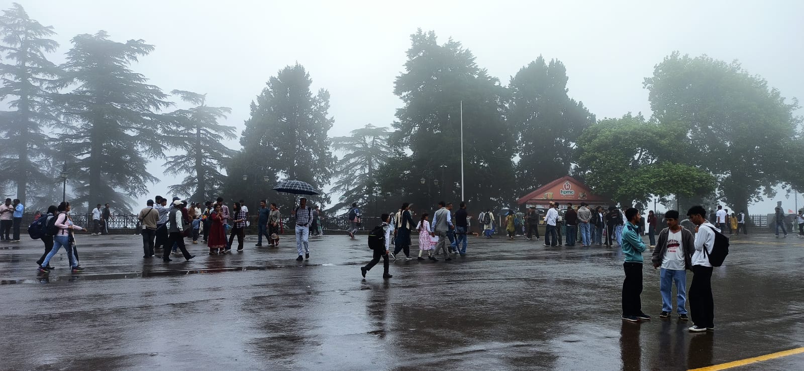 शिमला में वर्षा शिमला में वर्षा