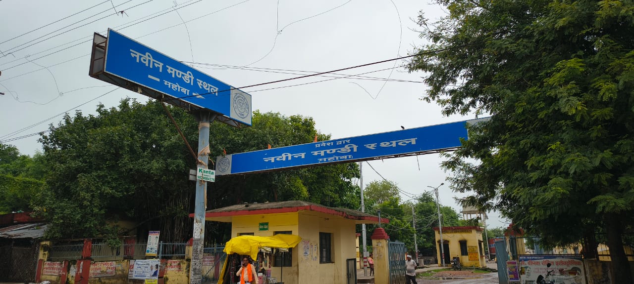 नवीन गल्ला मंडी नवीन गल्ला मंडी