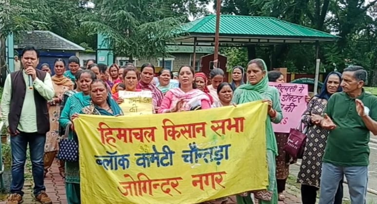 चौंतड़ा में धरना प्रदर्शन करते हुए किसान सभा के कार्यकर्ता। चौंतड़ा में धरना प्रदर्शन करते हुए किसान सभा के कार्यकर्ता।