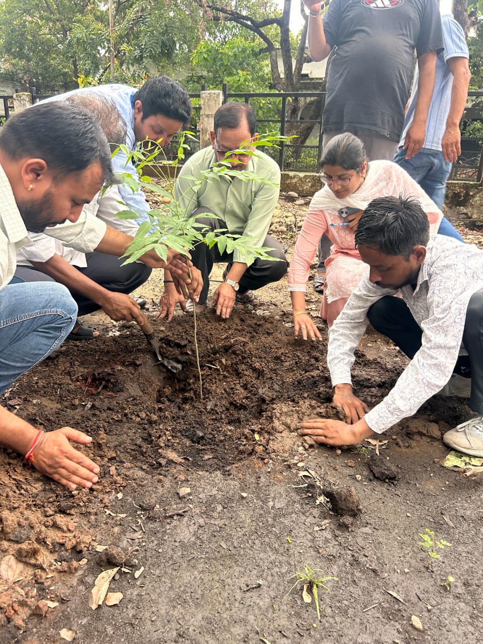 ऋषिकुल आयुर्वेद विश्वविद्यालय में पौधारोपण ऋषिकुल आयुर्वेद विश्वविद्यालय में पौधारोपण