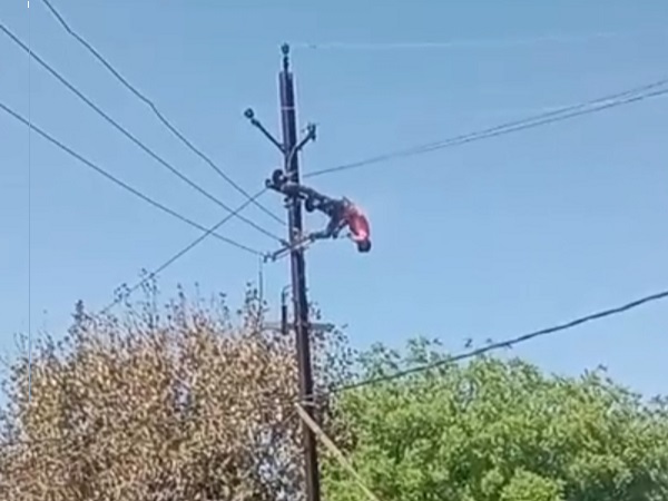 भिण्ड: बिजली कंपनी का आउटसोर्स कर्मचारी करंट की चपेट में आने से हालत गंभीर भिण्ड: बिजली कंपनी का आउटसोर्स कर्मचारी करंट की चपेट में आने से हालत गंभीर