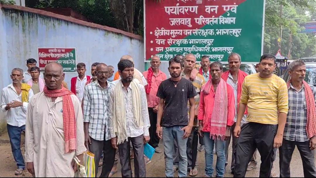 प्रदर्शन करते पशु रक्षक प्रदर्शन करते पशु रक्षक