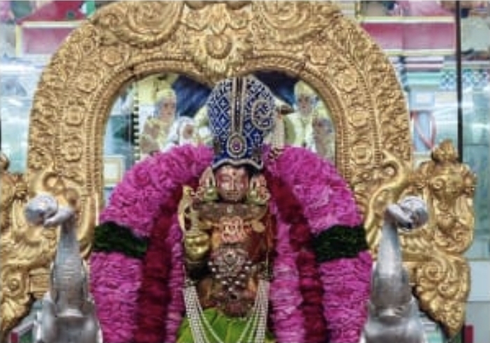 पुष्कर के दोनों रंगजी मंदिरों में झूला महोत्सव की भव्यता, उमड़ रही श्रद्धालुओं की भीड़ पुष्कर के दोनों रंगजी मंदिरों में झूला महोत्सव की भव्यता, उमड़ रही श्रद्धालुओं की भीड़