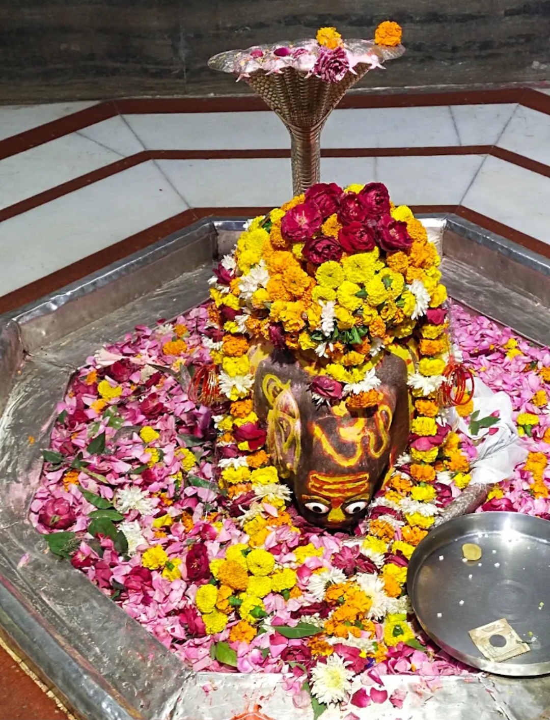 कन्नौज: कांवड़ यात्रियों पर बुलडोज़र से पुष्पवर्षा कन्नौज: कांवड़ यात्रियों पर बुलडोज़र से पुष्पवर्षा