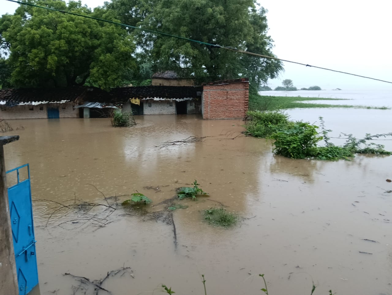 यमुना-बेतवा के उफान से बरुआ गांव बना टापू यमुना-बेतवा के उफान से बरुआ गांव बना टापू