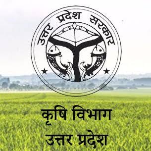 प्रतीकात्मक फोटो प्रतीकात्मक फोटो