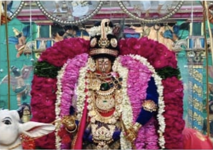 पुष्कर के दोनों रंगजी मंदिरों में झूला महोत्सव की भव्यता, उमड़ रही श्रद्धालुओं की भीड़ पुष्कर के दोनों रंगजी मंदिरों में झूला महोत्सव की भव्यता, उमड़ रही श्रद्धालुओं की भीड़