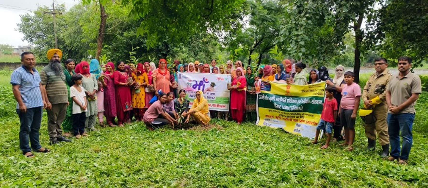 किरतान में पौधरोपण करते हुए। किरतान में पौधरोपण करते हुए।