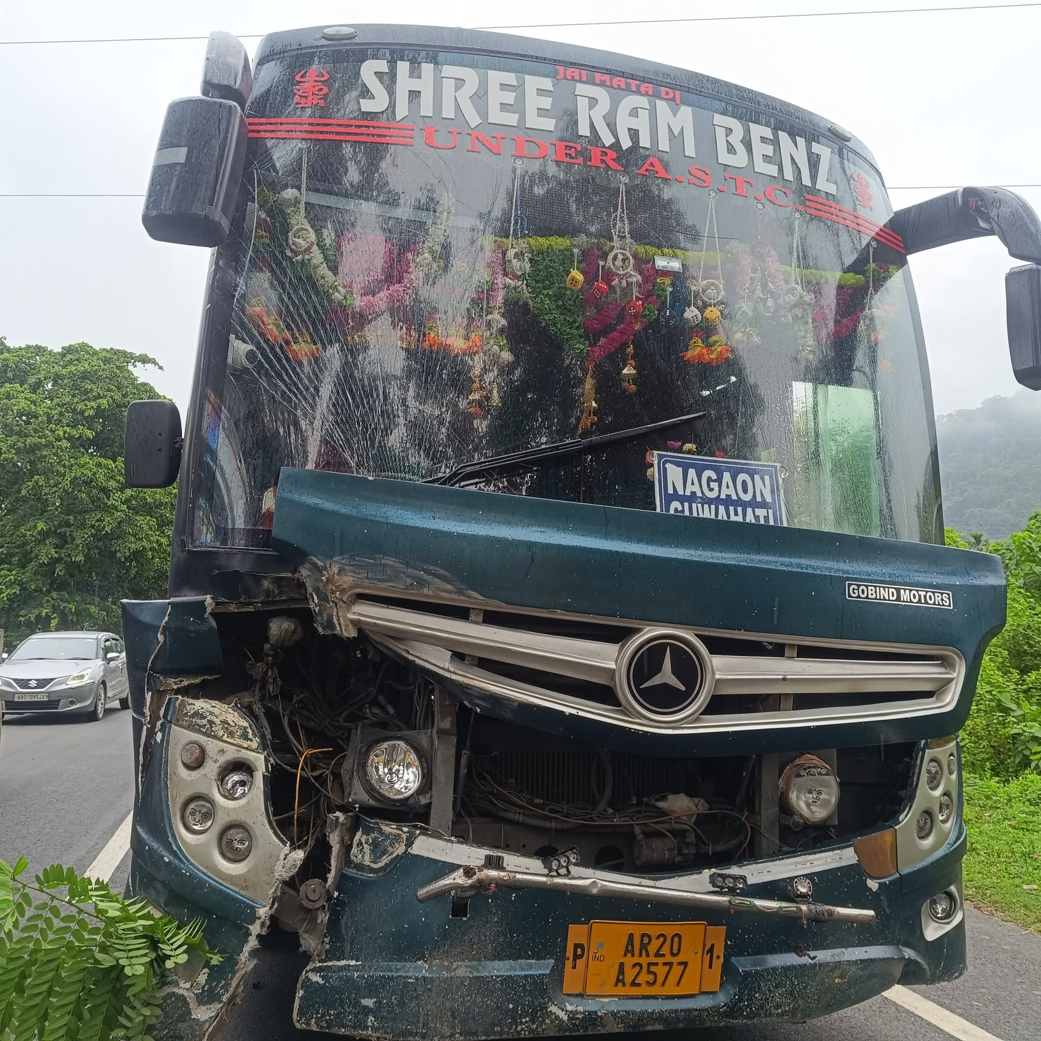 बस के चपेट में आने से एक जंगली भैंस की मौत बस के चपेट में आने से एक जंगली भैंस की मौत