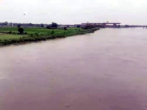 बारिश के पानी से यमुना में बढ़ रहा जलस्तर। बारिश के पानी से यमुना में बढ़ रहा जलस्तर।