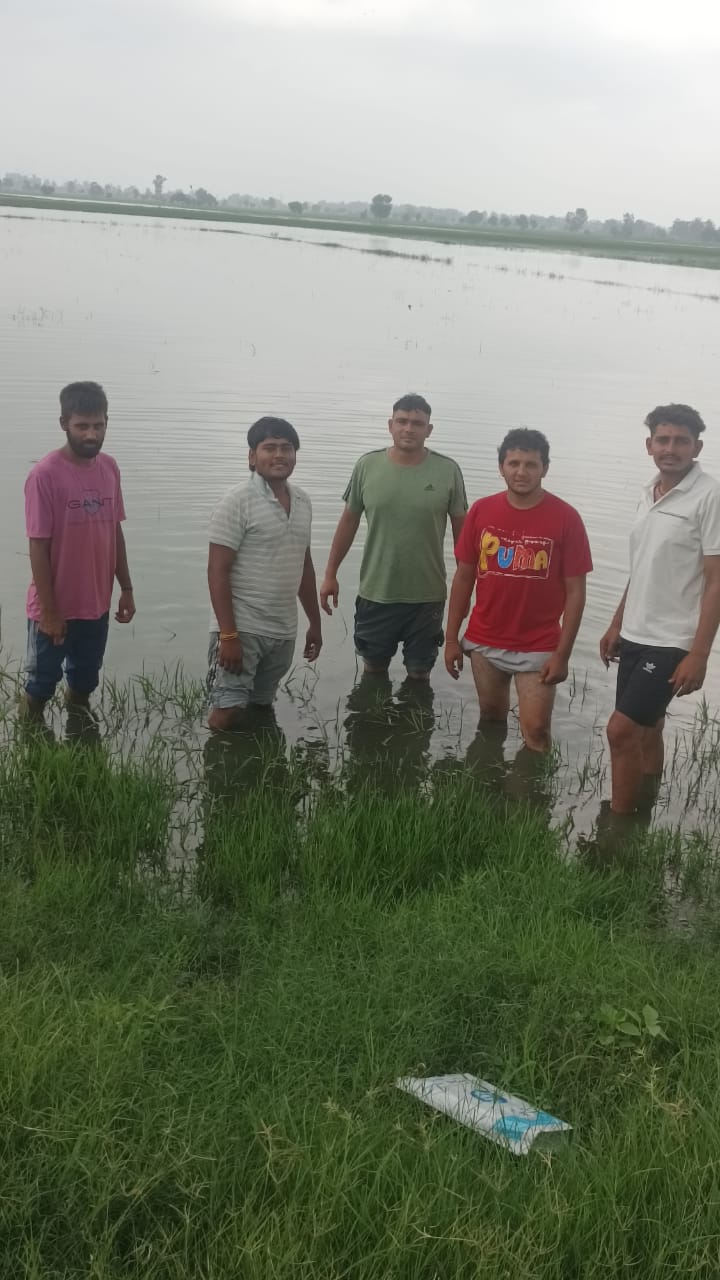 बराड़ खेड़ा गांव में हुए जलभराव को दिखाते हुए किसान। बराड़ खेड़ा गांव में हुए जलभराव को दिखाते हुए किसान।