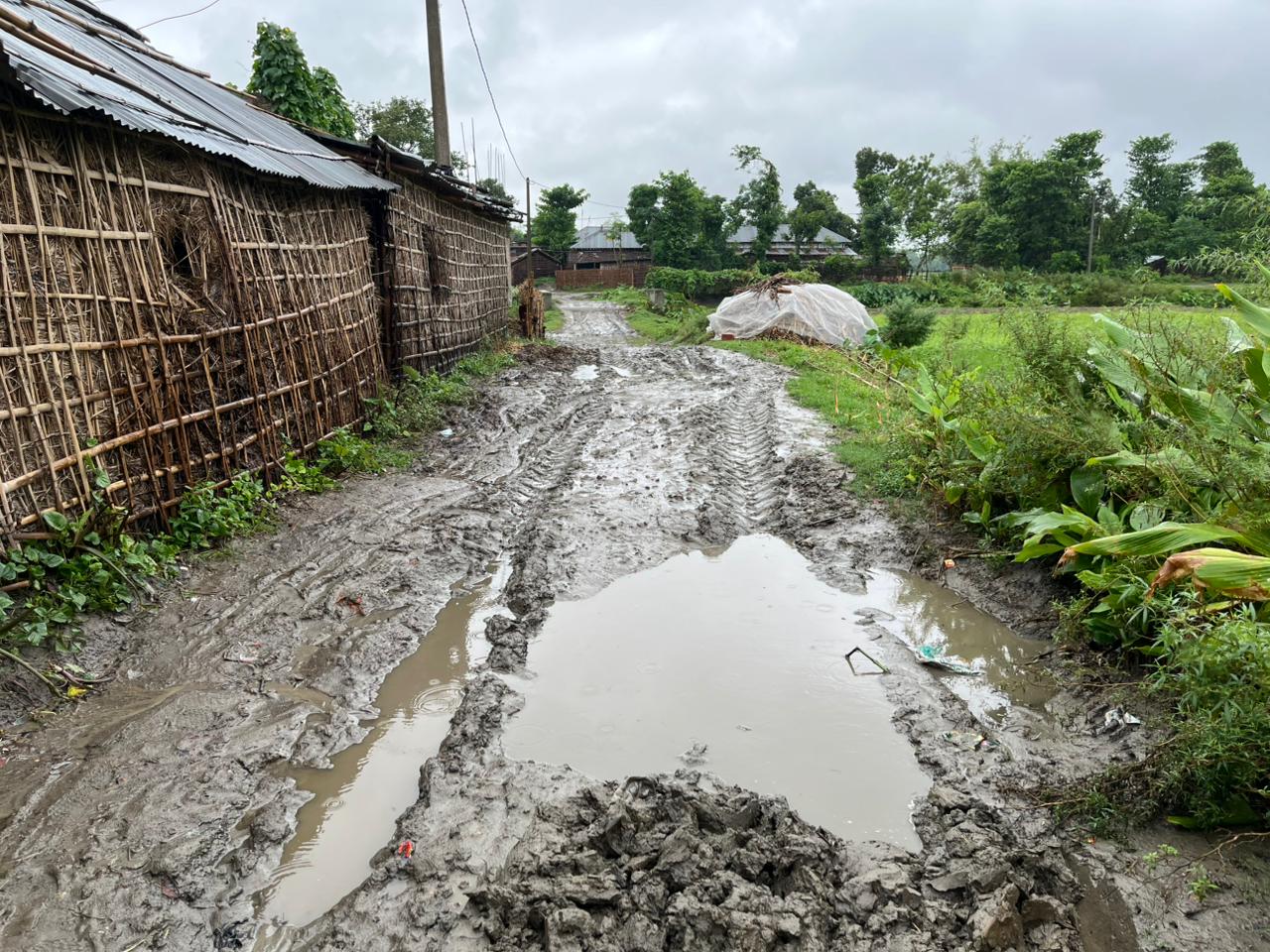 अररिया फोटो:बदल ग्रामीण सड़क