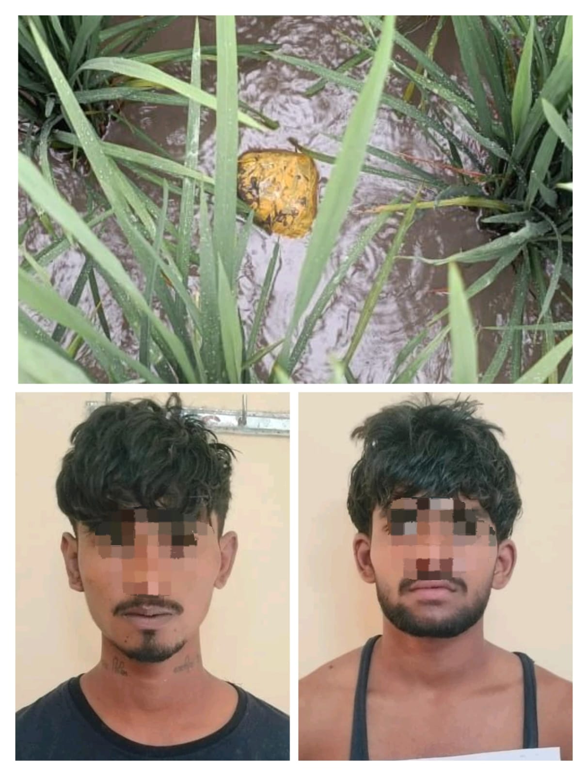 बीएसएफ