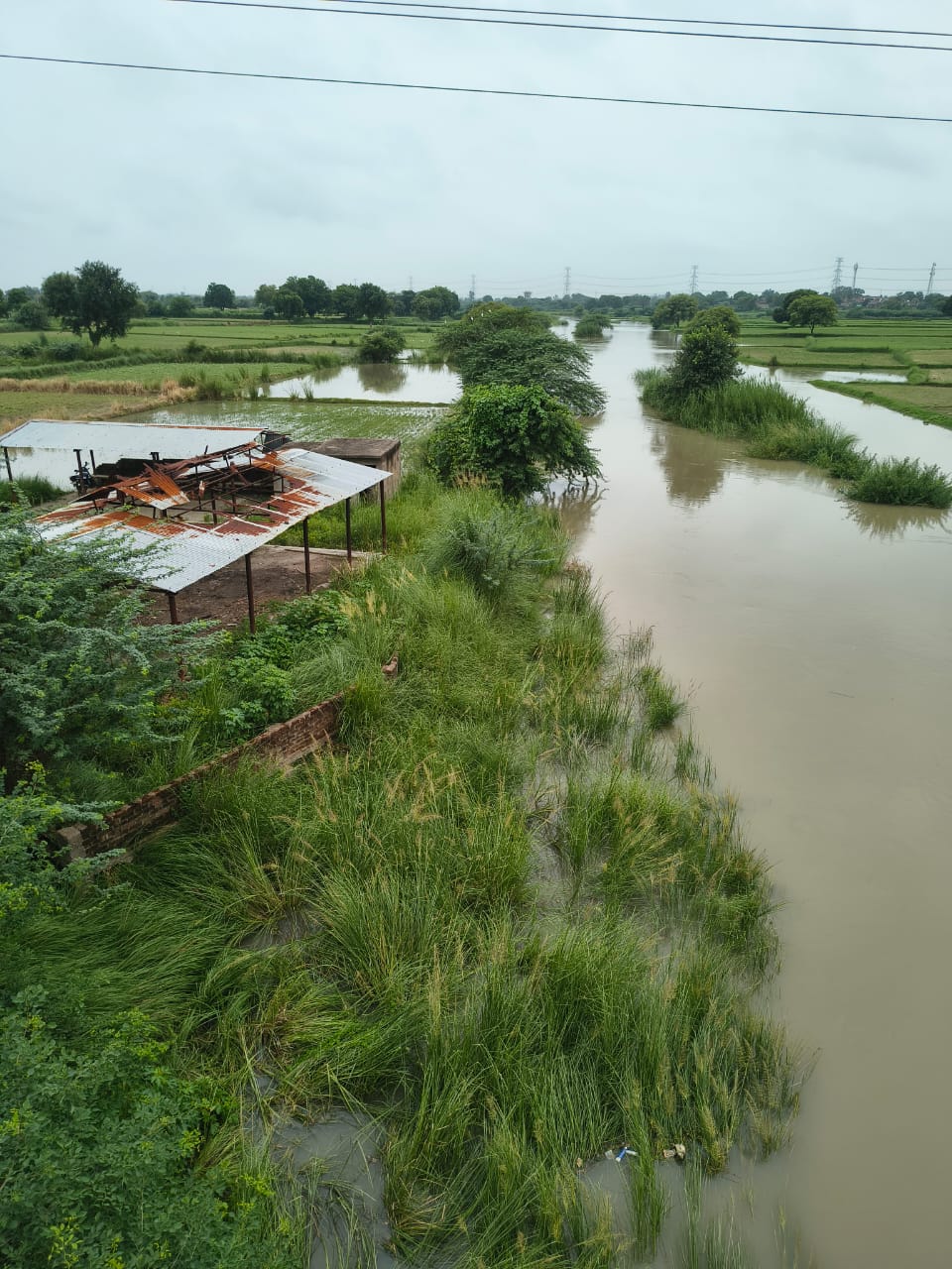 फोटो - सेंगर नदी बाढ़ से फसले नष्ट फोटो - सेंगर नदी बाढ़ से फसले नष्ट
