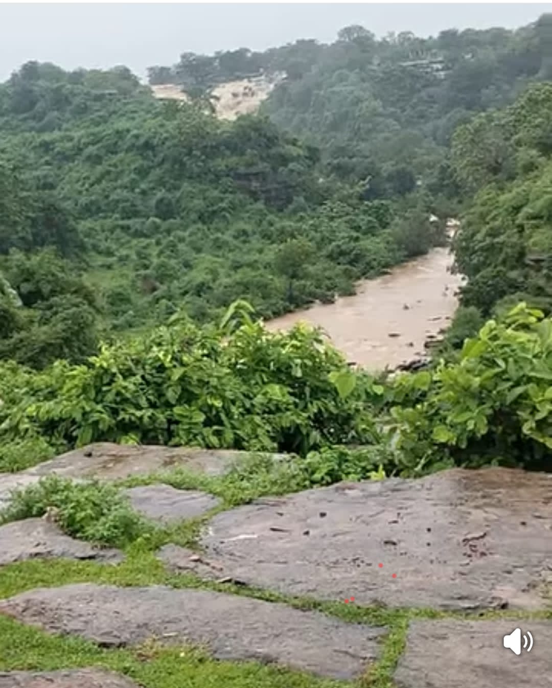 सिद्घनाथ दरी के गेट को बोल्डर व झाड़ी रखकर  बंद किया गया।