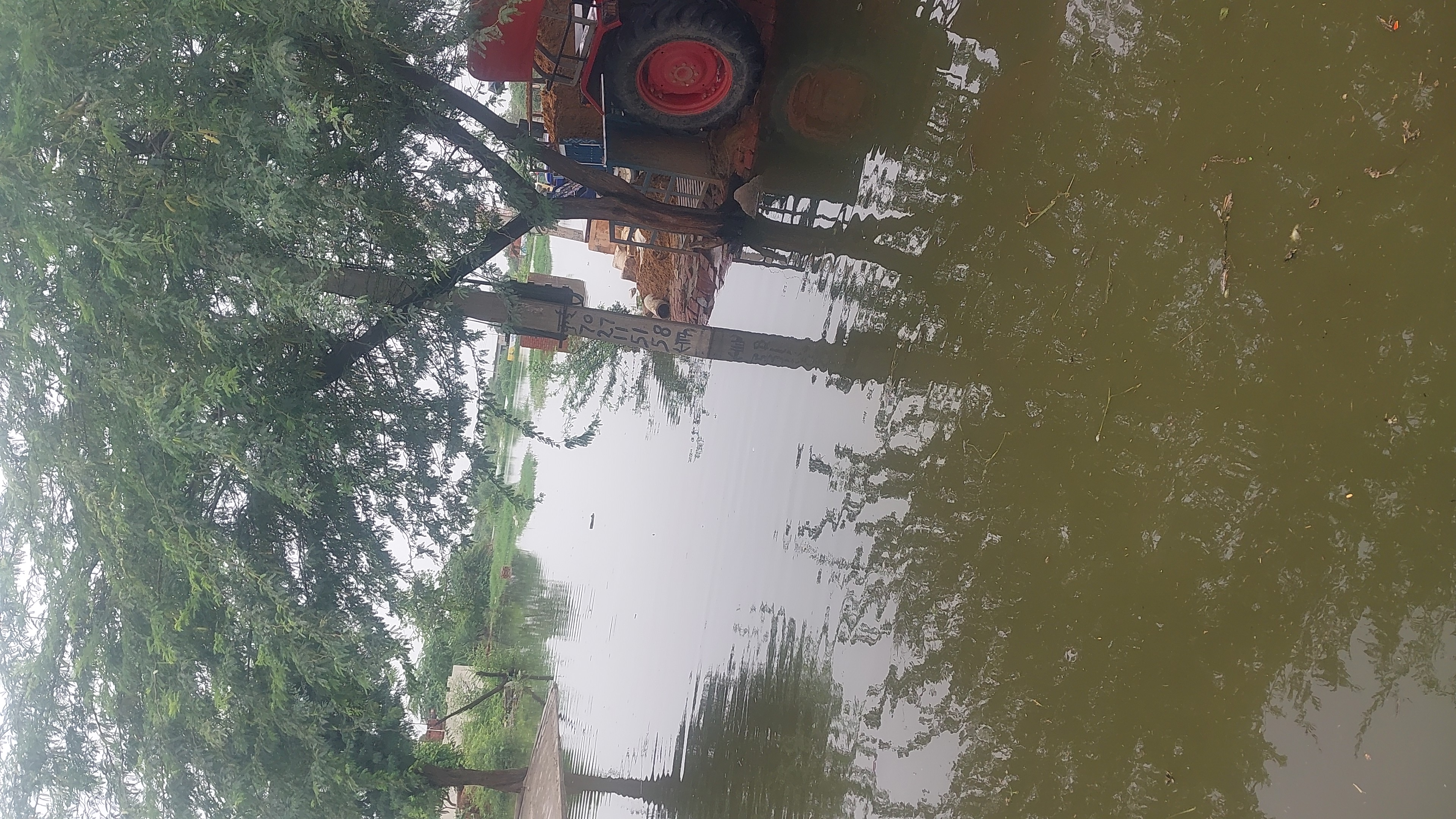 गांव माजरा के खेतों में ही नहीं आबादी में भी पहुंचा बारिश का पानी। गांव माजरा के खेतों में ही नहीं आबादी में भी पहुंचा बारिश का पानी।
