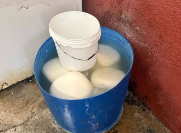नकली पनीर फैक्ट्री