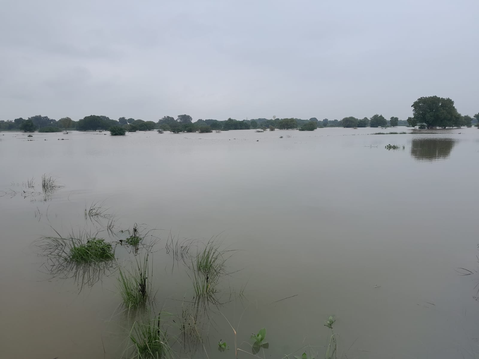 फोटो - खेतो में भरा बाढ़ का पानी फोटो - खेतो में भरा बाढ़ का पानी