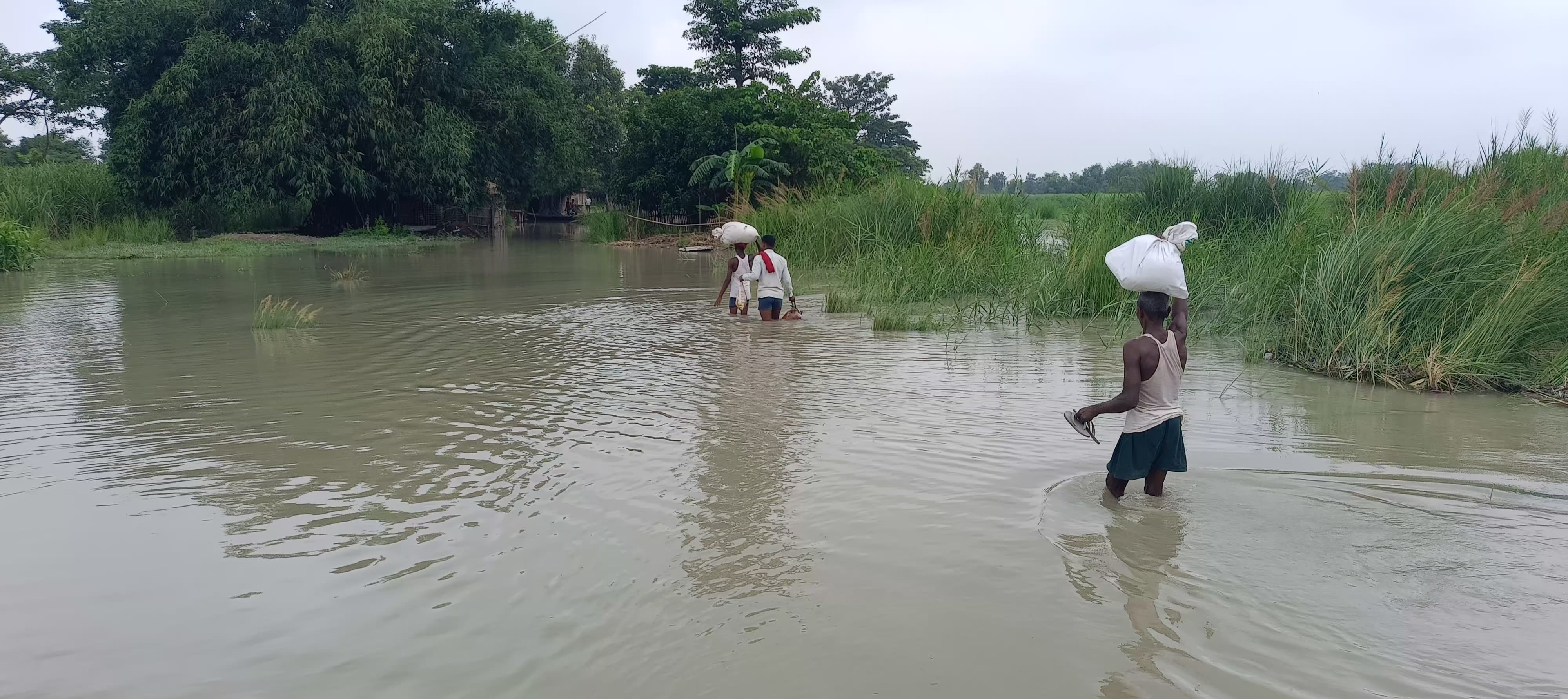 बेतिया के तराई क्षेत्र में बढ़ने लगा बाढ़ का पानी, पलायन की तैयारी में  लोग
