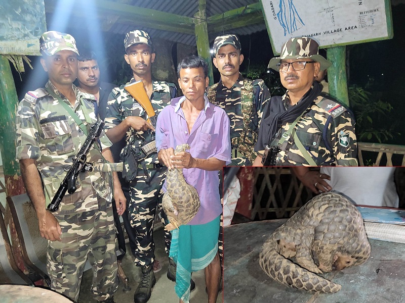 असमः भारत-भूटान सीमावर्ती इलाके से दुर्लभ वन्यजीव पेंगोलिन के साथ गिरफ्तार व्यक्ति असमः भारत-भूटान सीमावर्ती इलाके से दुर्लभ वन्यजीव पेंगोलिन के साथ गिरफ्तार व्यक्ति