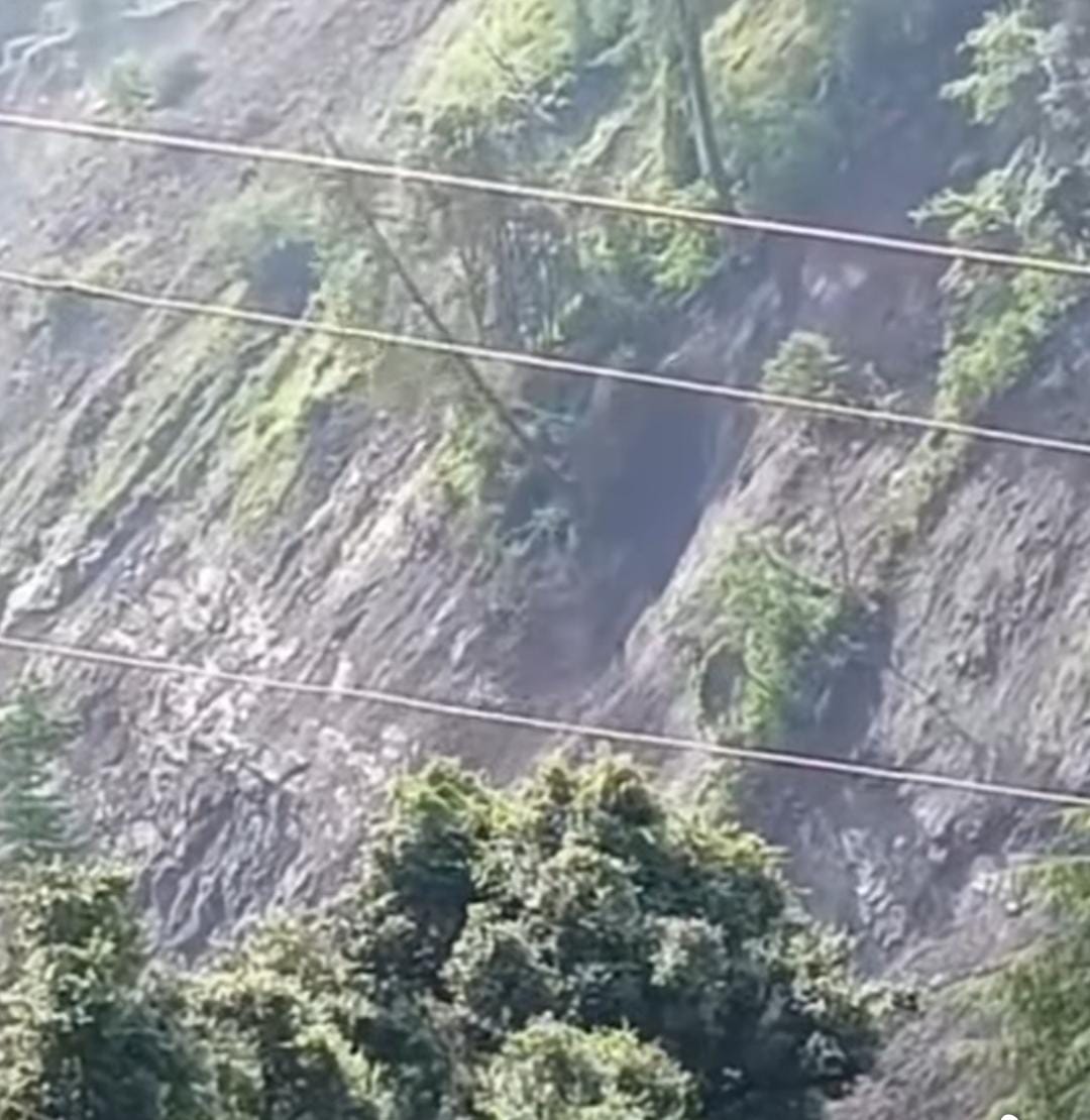 सेगली के नन्हणी जंगल में धंस रही पहाड़ी। सेगली के नन्हणी जंगल में धंस रही पहाड़ी।