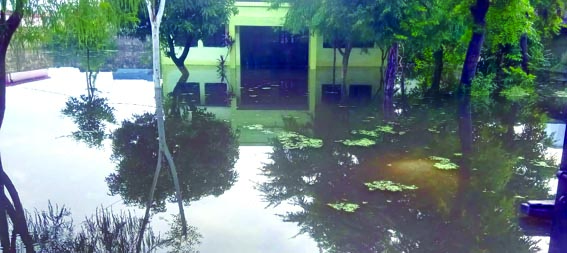जलमग्न पशु चिकित्सालय का परिसर