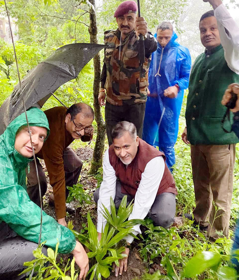 डीएसबी परिसर में पौधरोपण करते कुलपति प्रो. रावत व अन्य। डीएसबी परिसर में पौधरोपण करते कुलपति प्रो. रावत व अन्य।