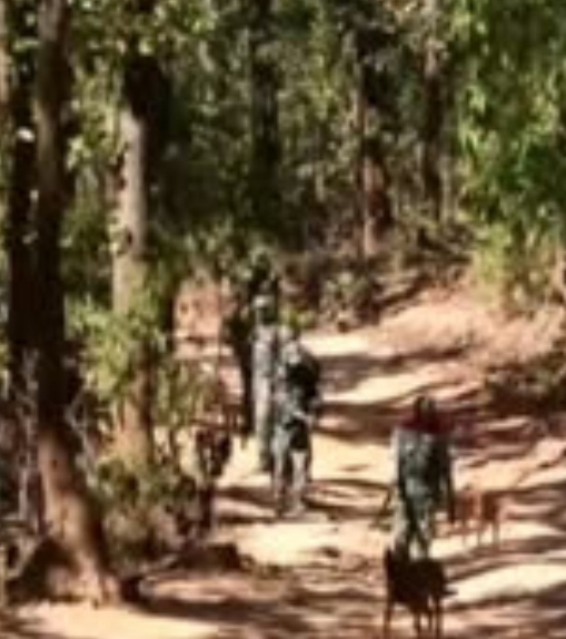 फाइल फोटोअभियान चलाते सुरक्षाबल