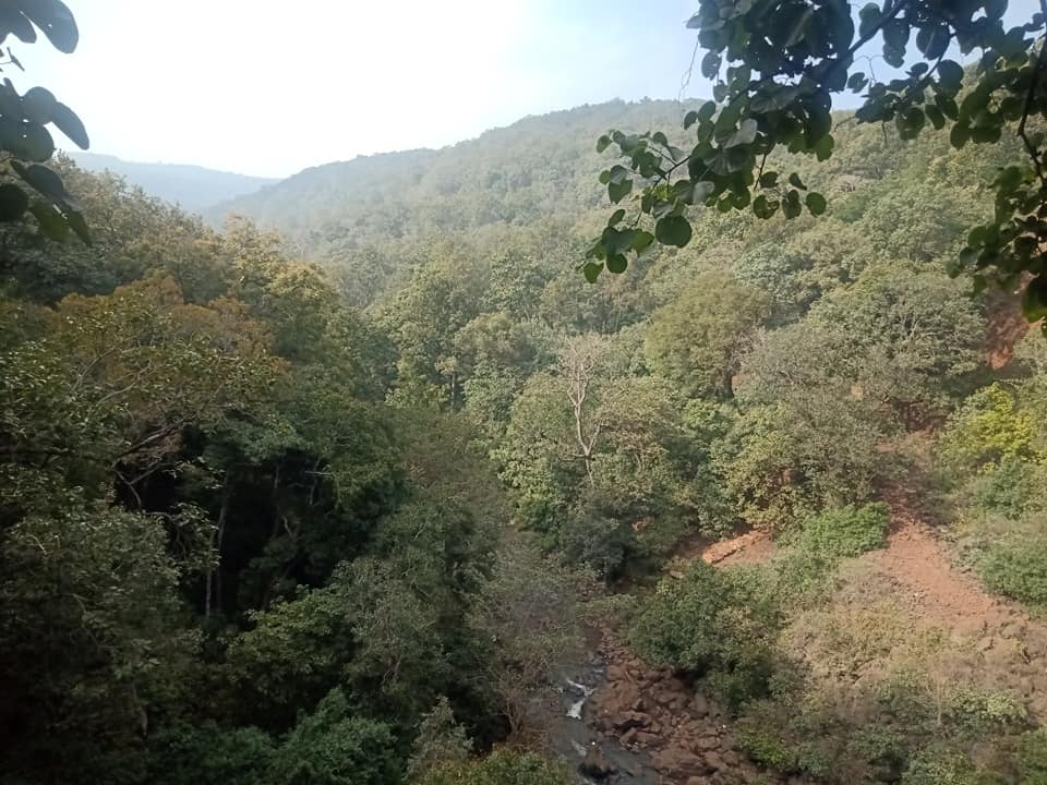 हरी भरी वादिया