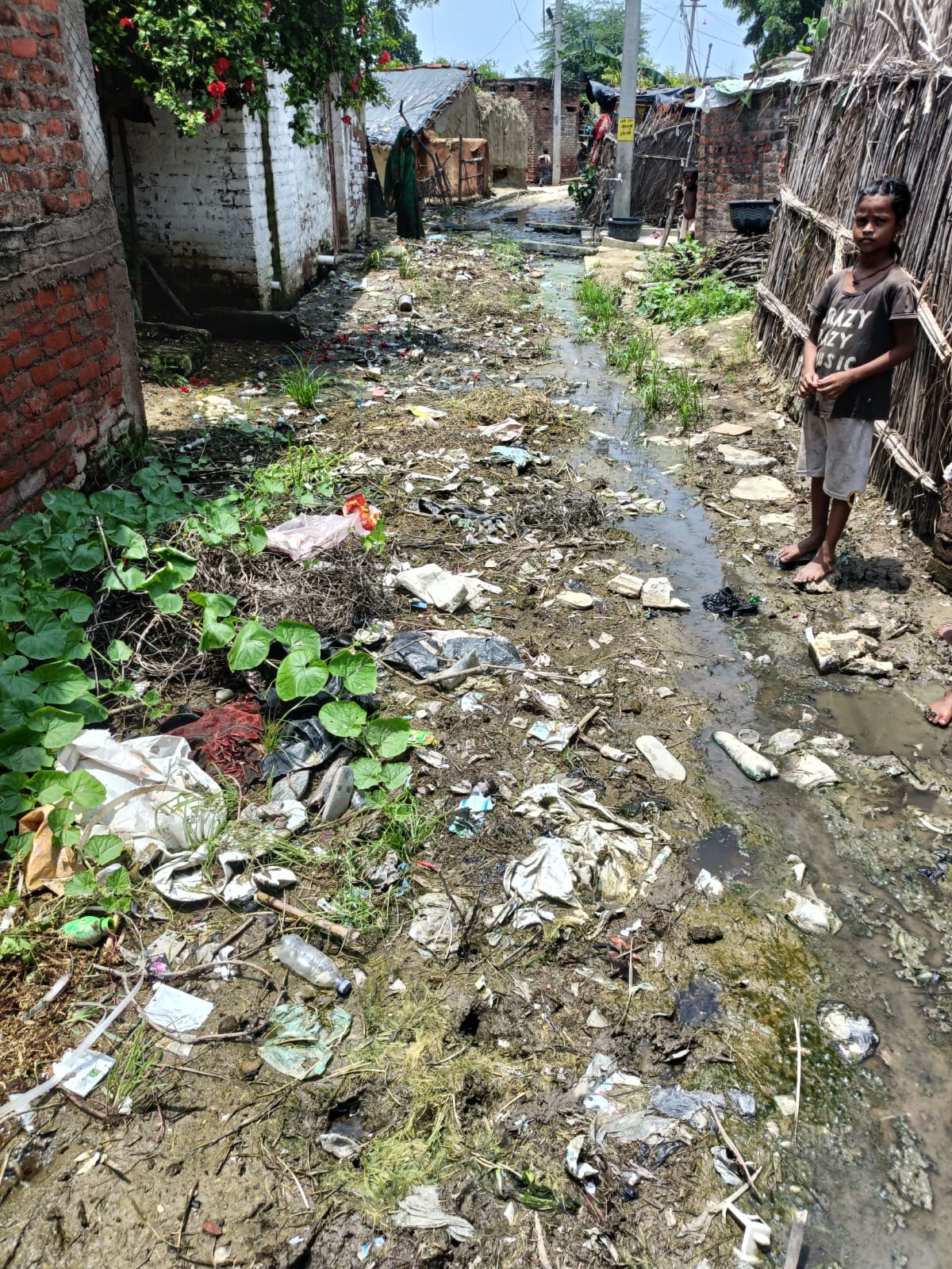 फोटो - गंदगी से बजबजाती गालिया फोटो - गंदगी से बजबजाती गालिया