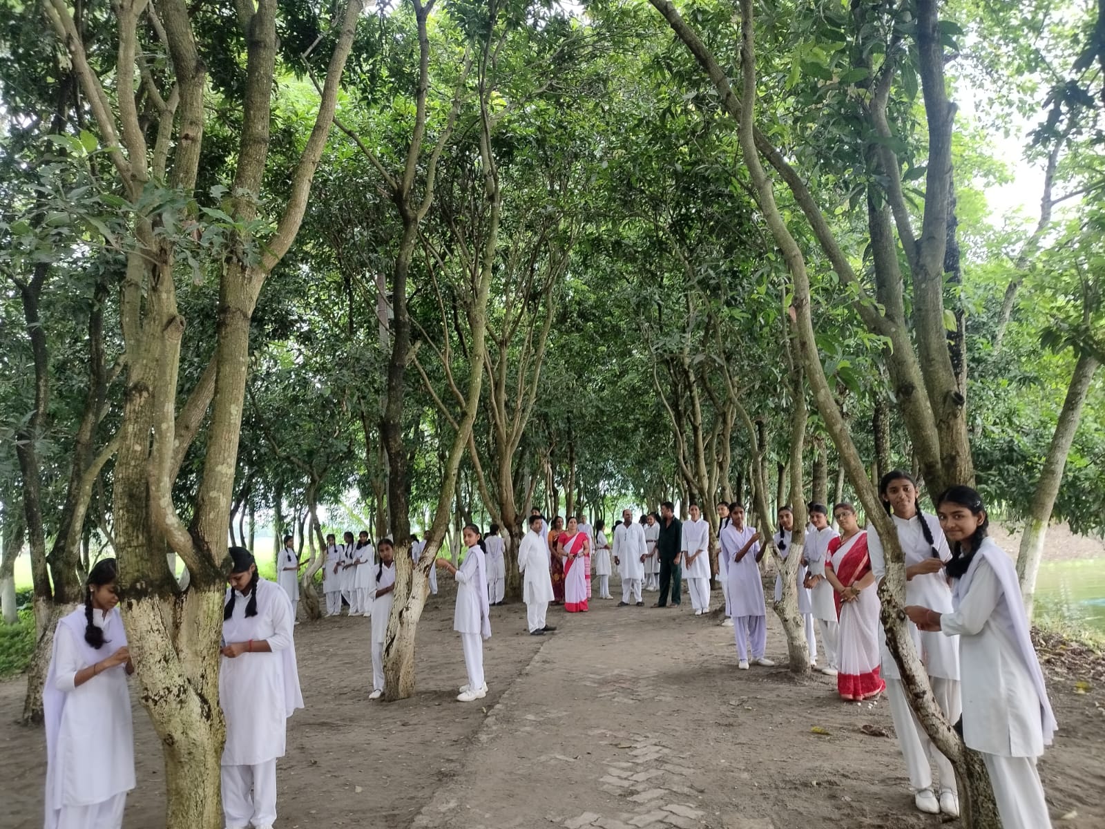 अररिया फोटो:पेड़ों में रक्षा सूत्र बांधती स्कूली छात्रा अररिया फोटो:पेड़ों में रक्षा सूत्र बांधती स्कूली छात्रा