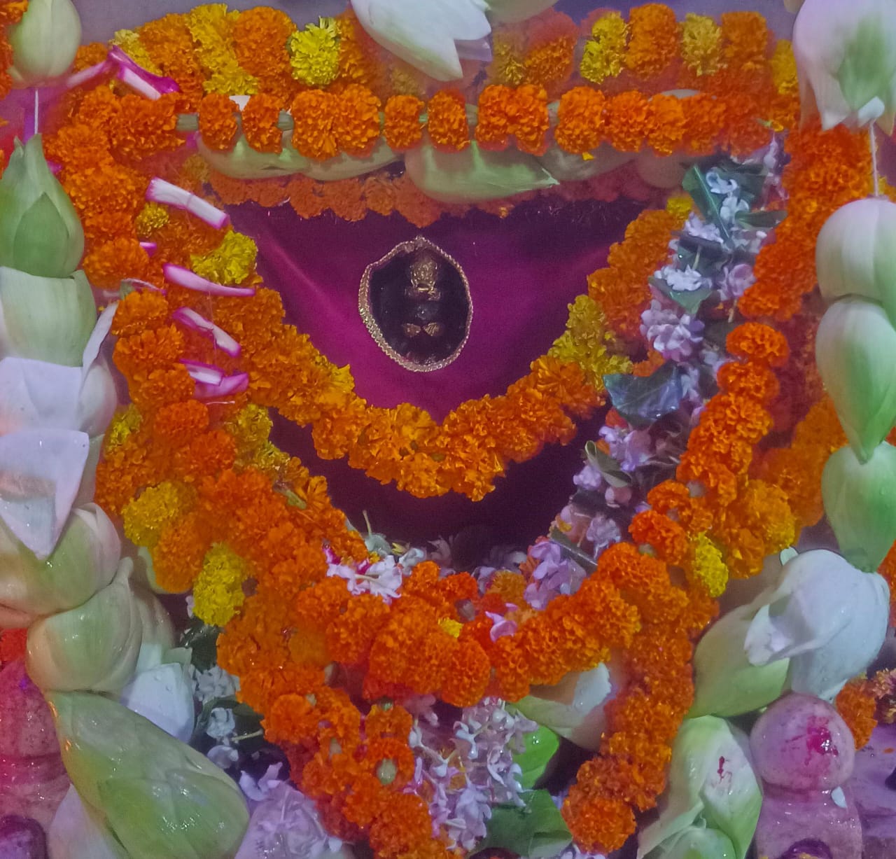 गडबडा धाम में सजी मां शीतला की झांकी।
