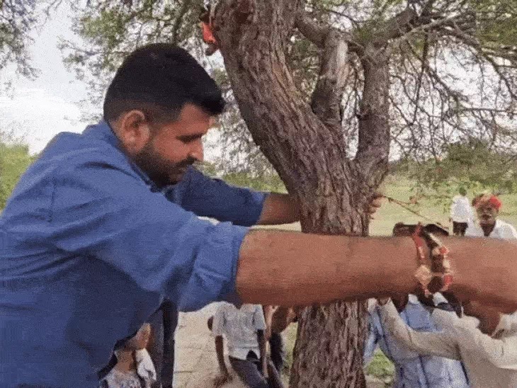 राज्य वृक्ष खेजड़ी को राखी बांधी