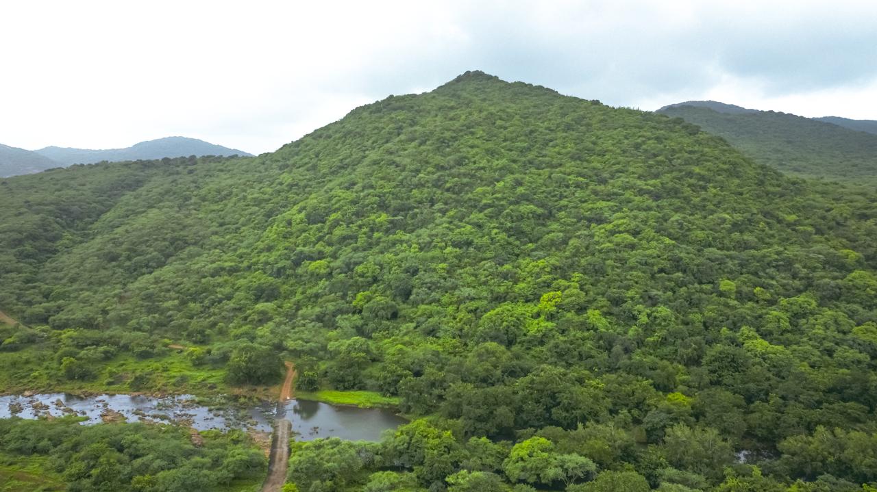 भाणवड तहसील के बरडा क्षेत्र में स्थित टींबडी
