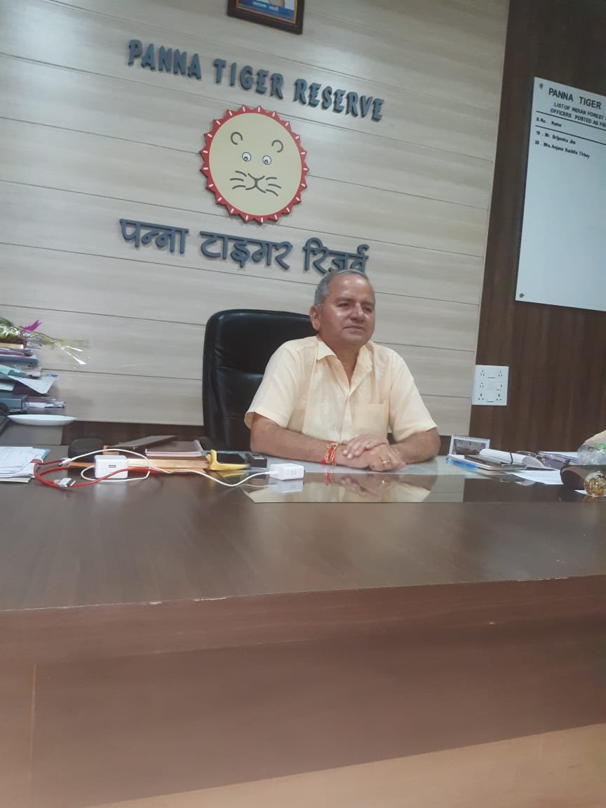 एफडी पन्ना टाईगर रिजर्व नरेश यादव एफडी पन्ना टाईगर रिजर्व नरेश यादव