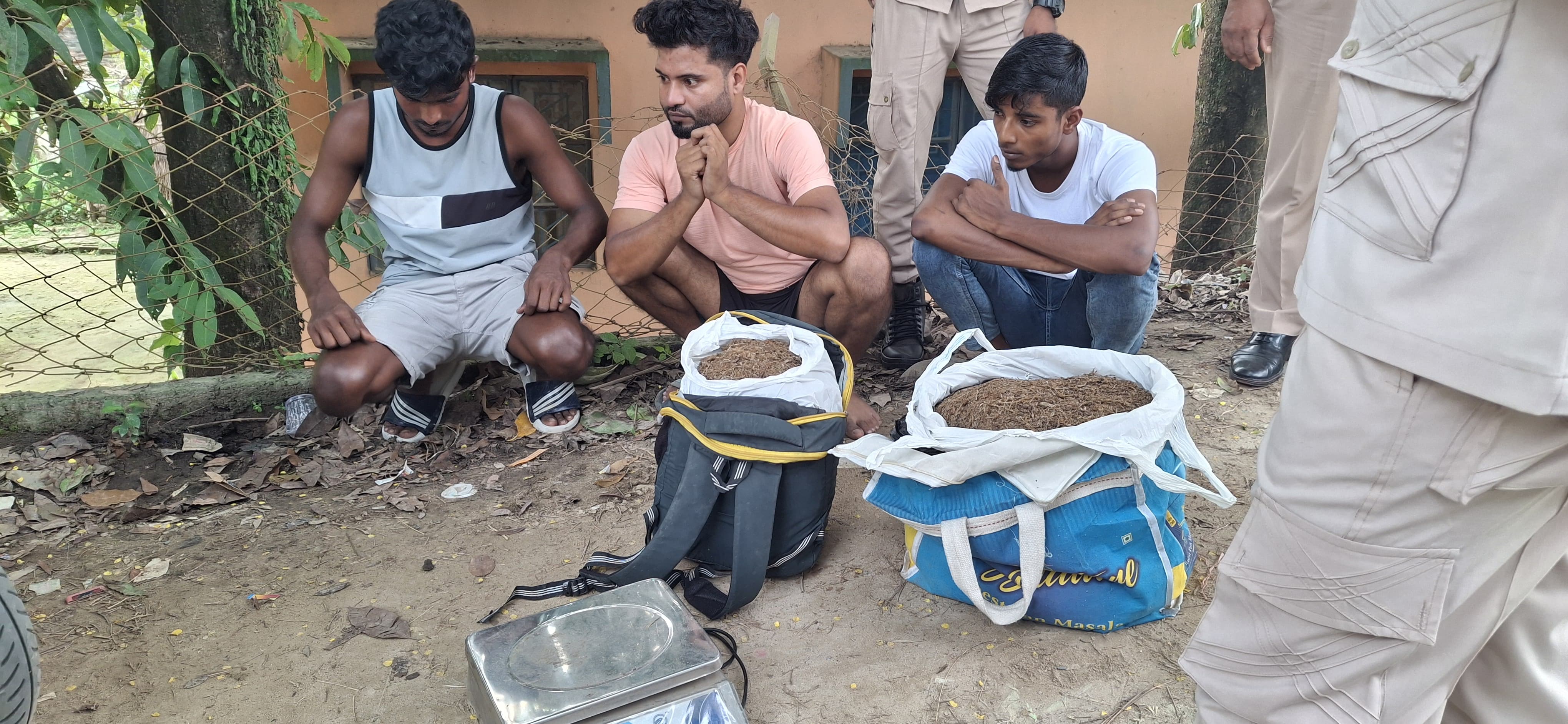 गुवाहाटी में गांजा के साथ गिरफ्तार तीन आरोपितों की तस्वीर।